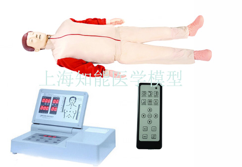 心肺復蘇（CPR）模擬人