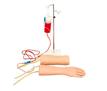 手部、肘部組合式靜脈（血）訓(xùn)練模型