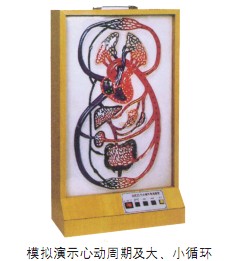 大、小循環(huán)電動(dòng)模型